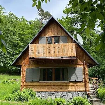 Wooden House In The Nature Modra Exterior photo