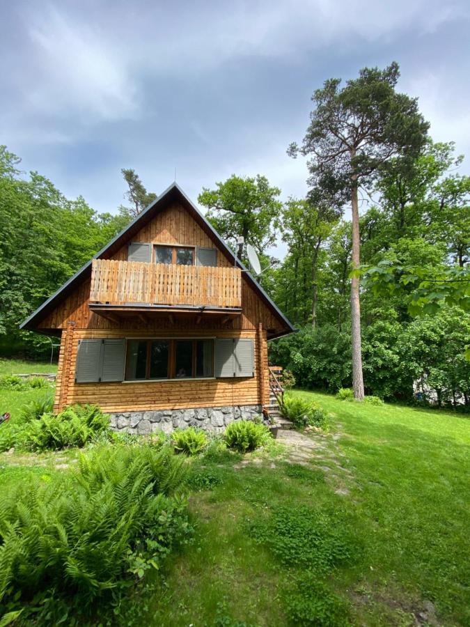 Chalet Wooden House In The Nature Modra