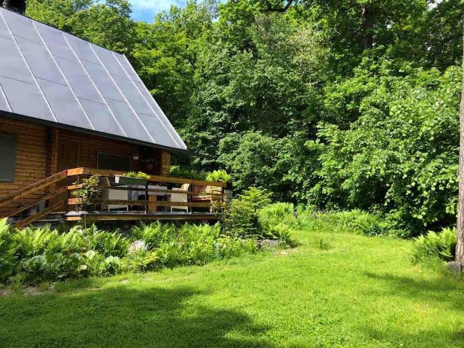 Wooden House In The Nature Modra